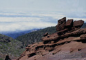 Landscapes
